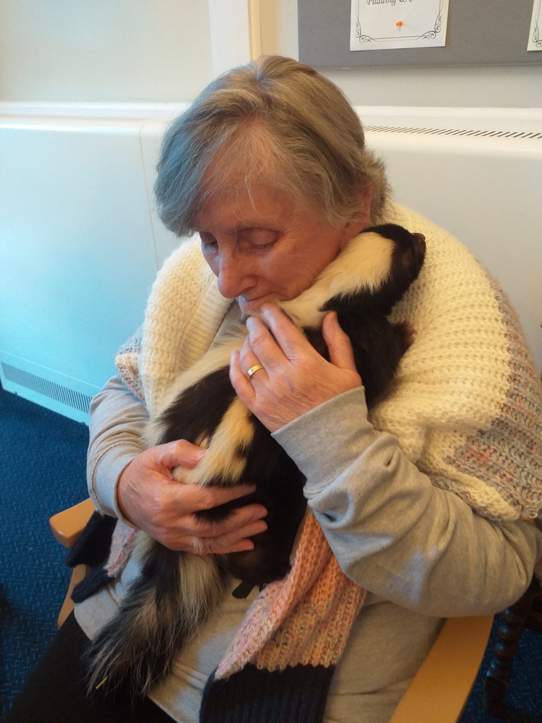 Flash, Penelope and Slinky visit Paxton Hall